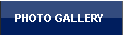 Photo Gallery